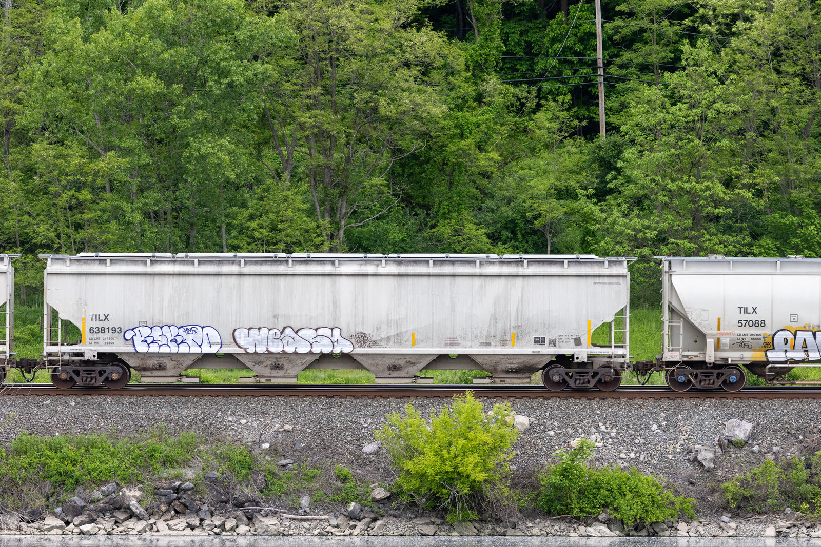 TILX 638193