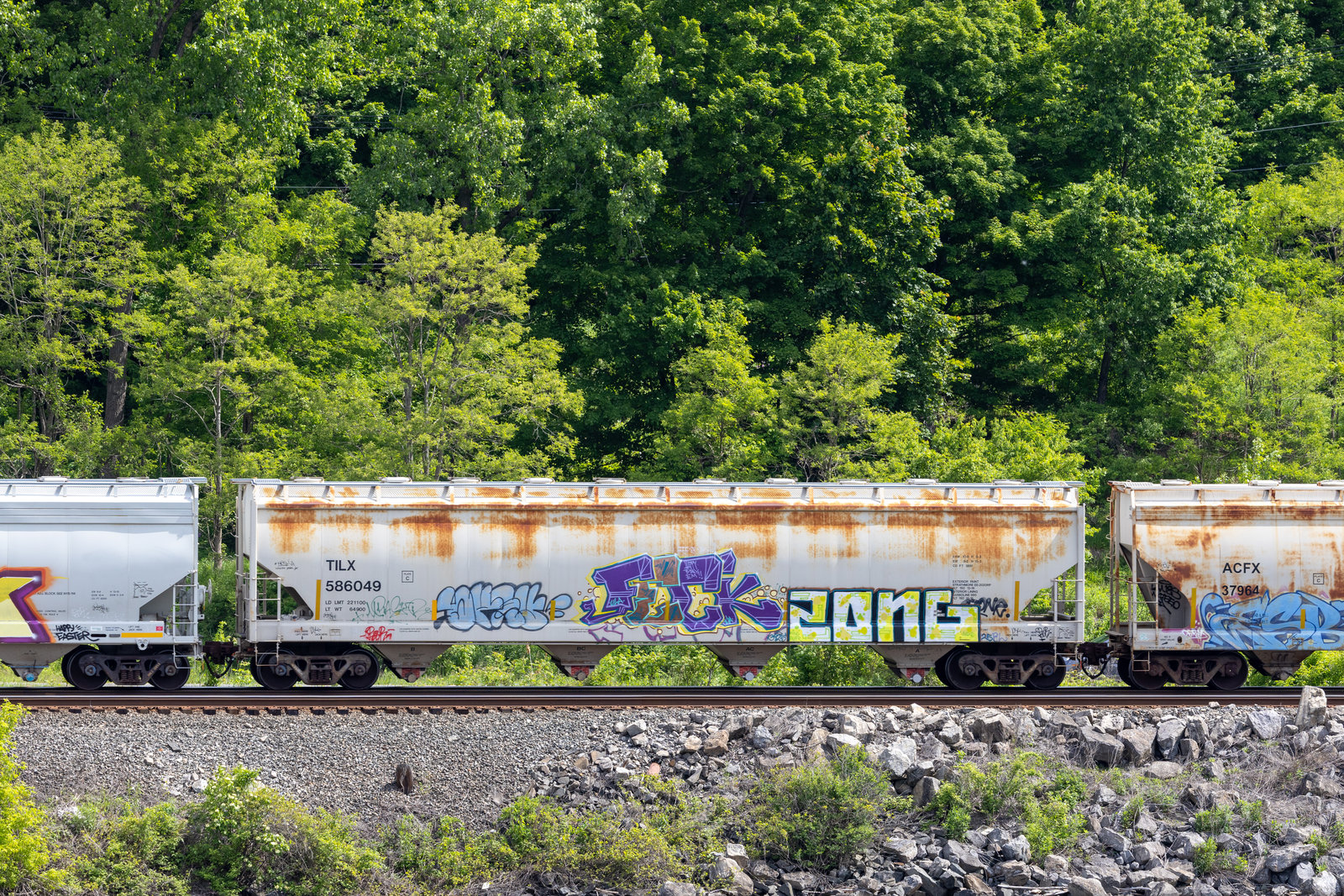 TILX 586049