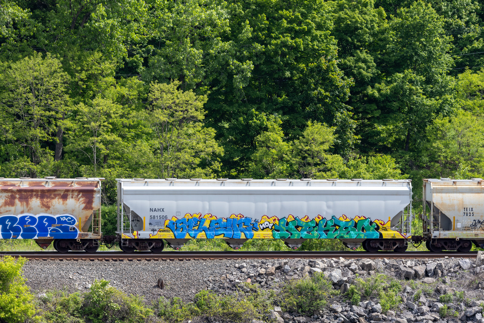 NAHX 581506
