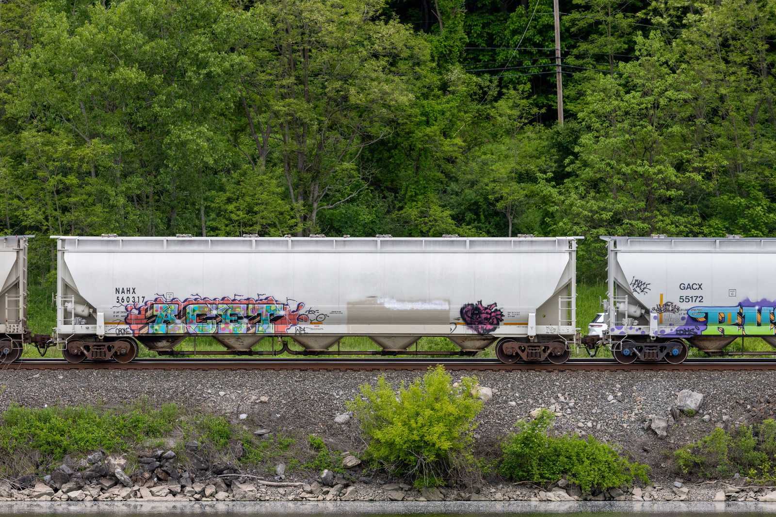 NAHX 560317