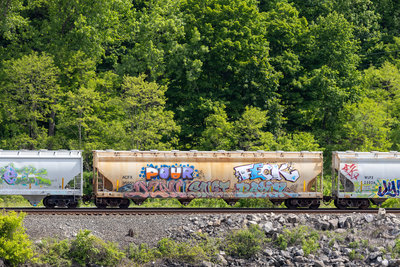 ACFX 36551