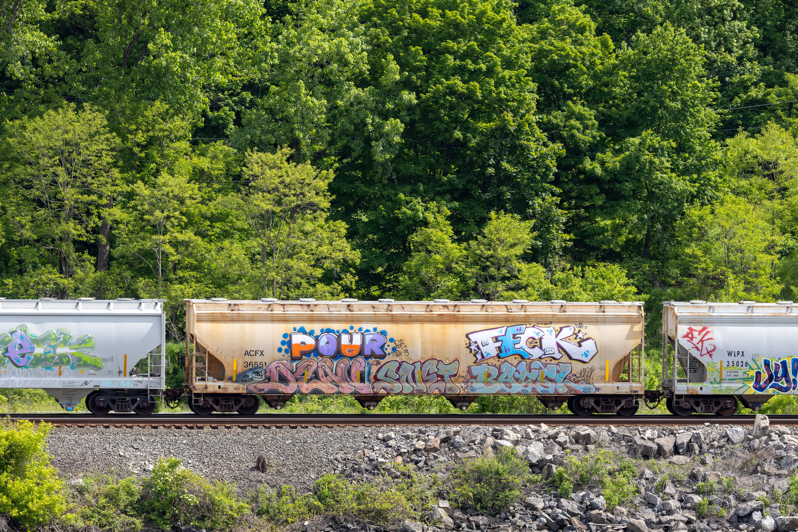ACFX 36551