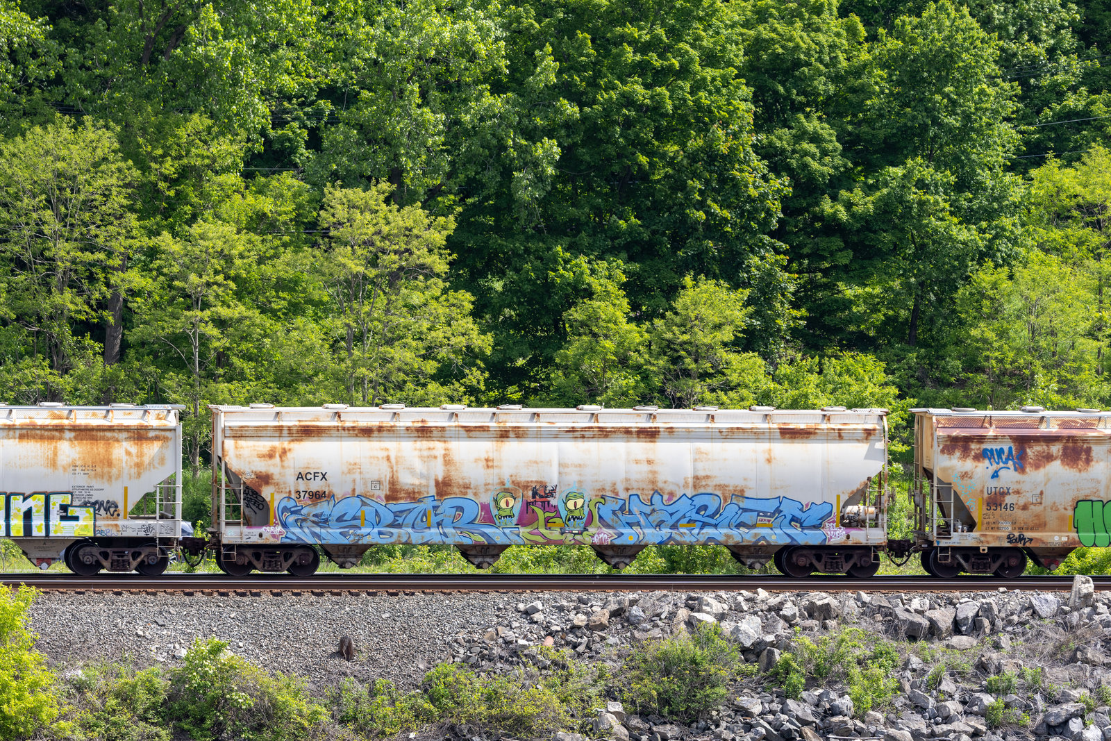 ACFX 37964