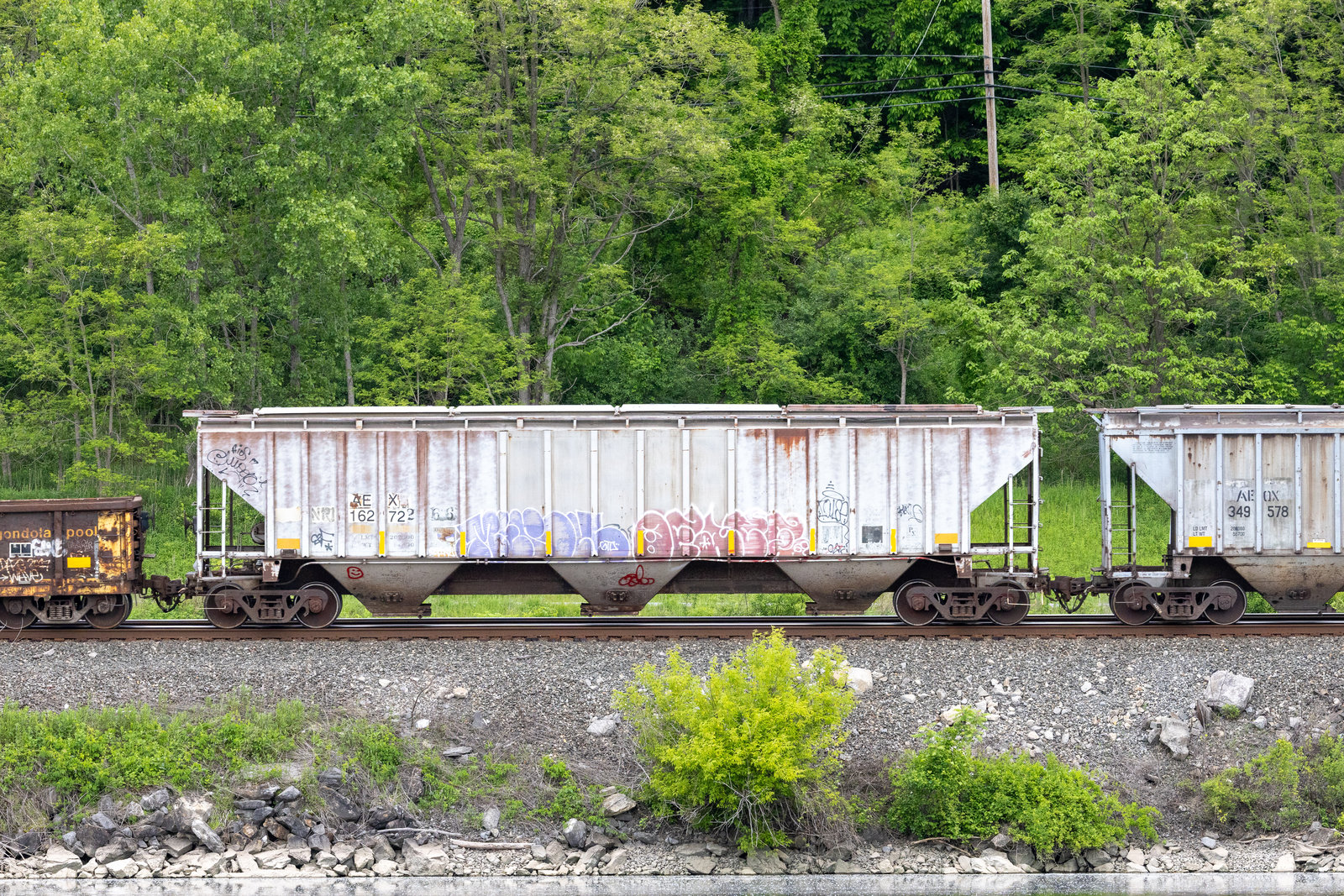 AEX 16272