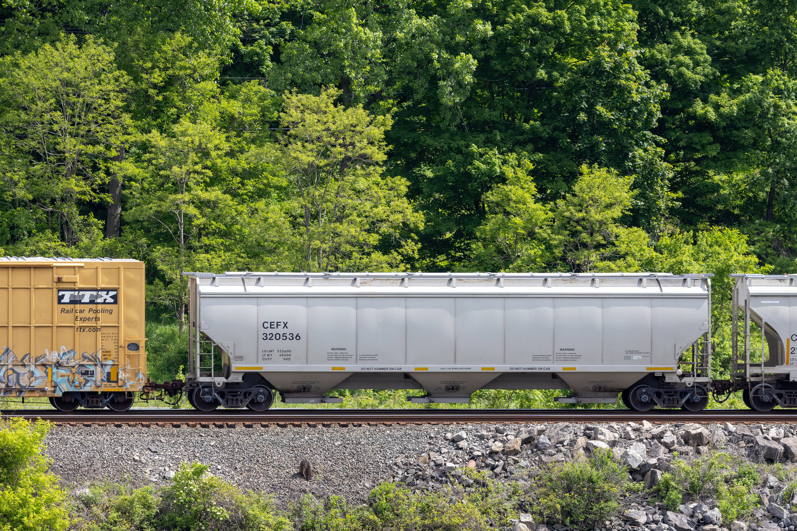 CEFX 320536