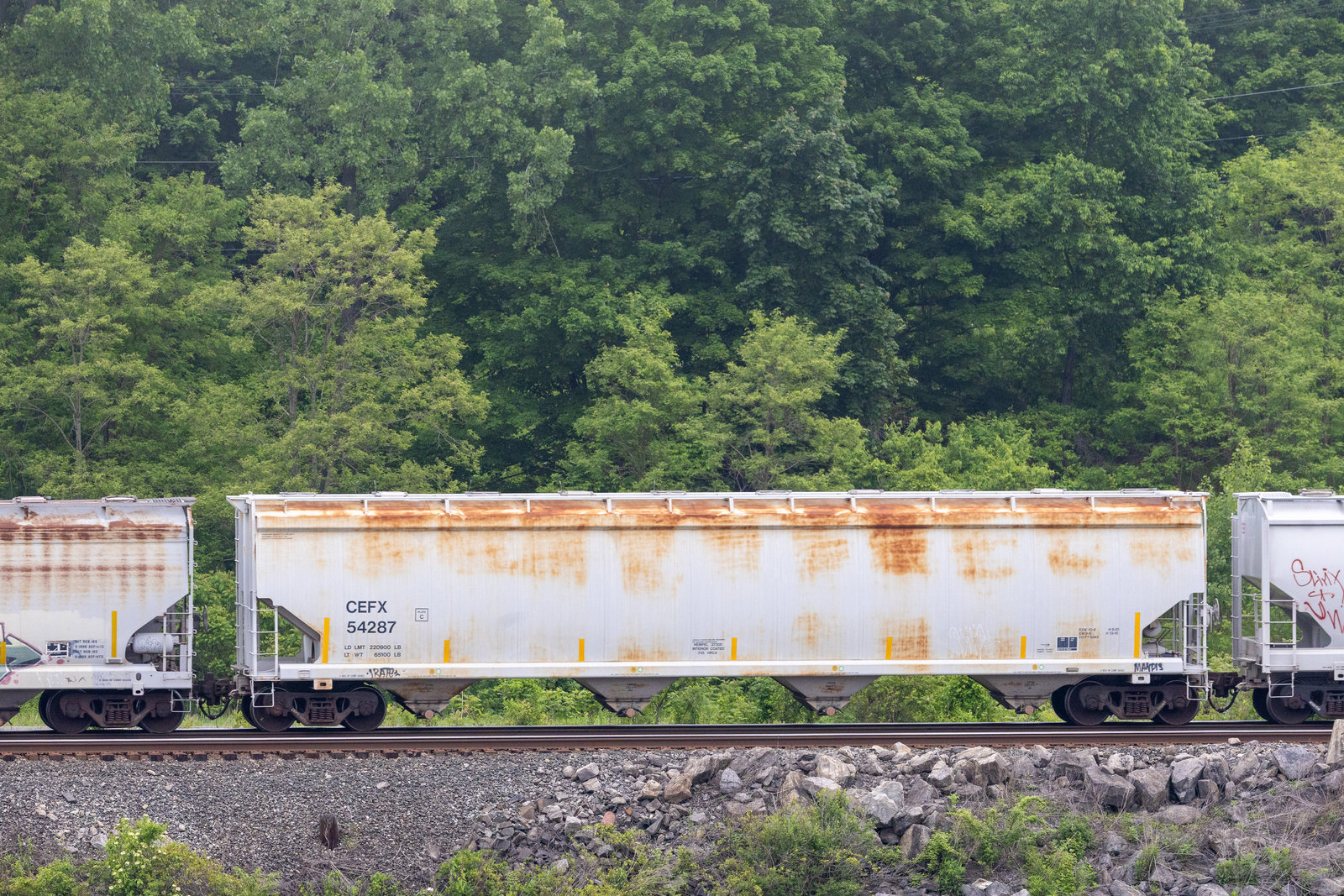 CEFX 54287