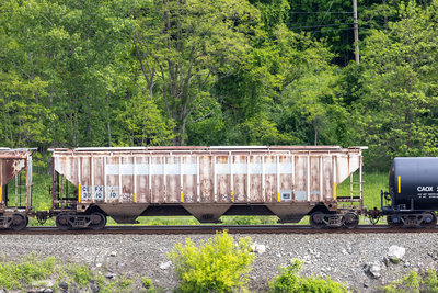 CEFX 301010