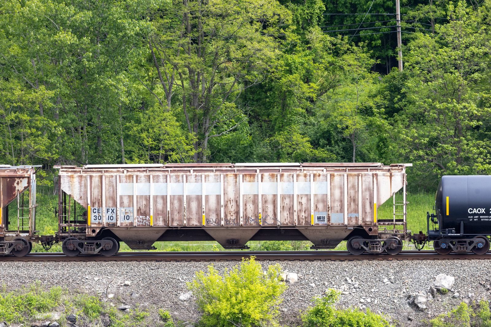 CEFX 301010