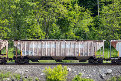 CEFX 301016