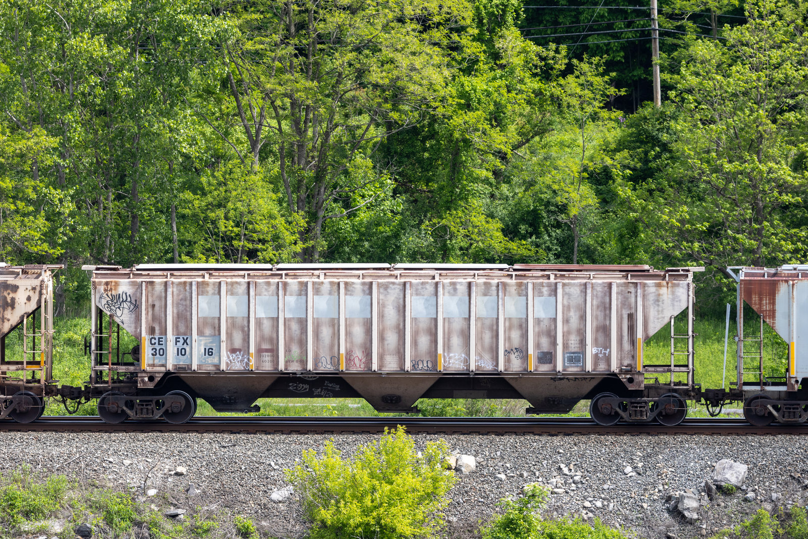 CEFX 301016