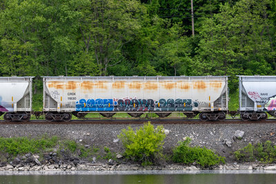 CRDX 11830