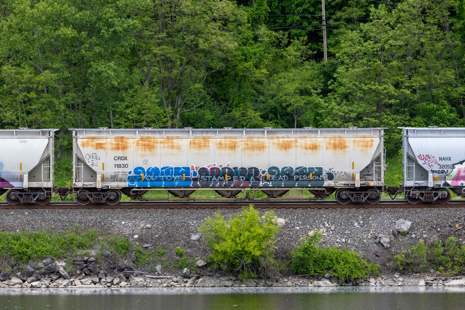 CRDX 11830