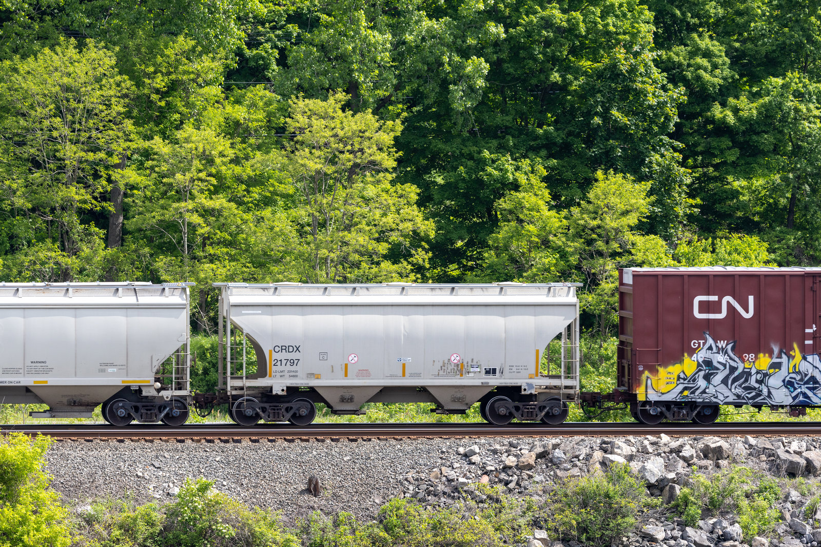 CRDX 21797