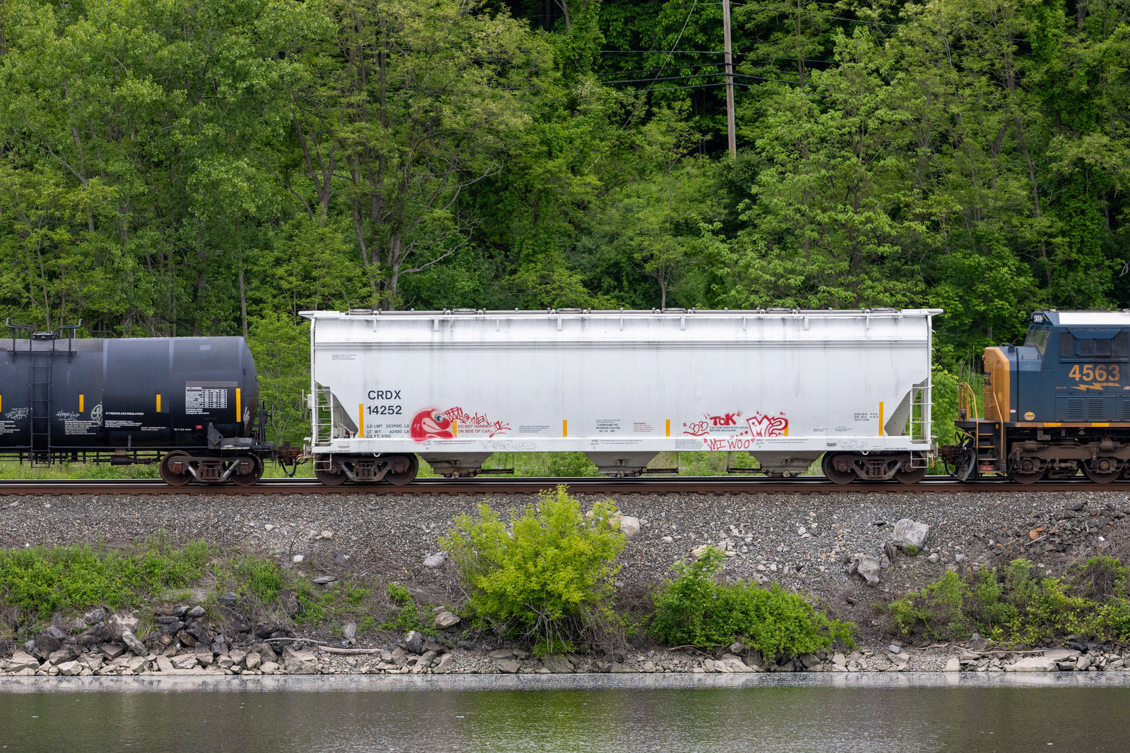 CRDX 14252