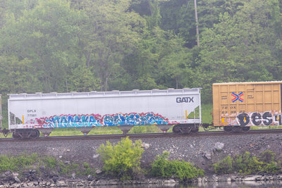 GPLX 77581