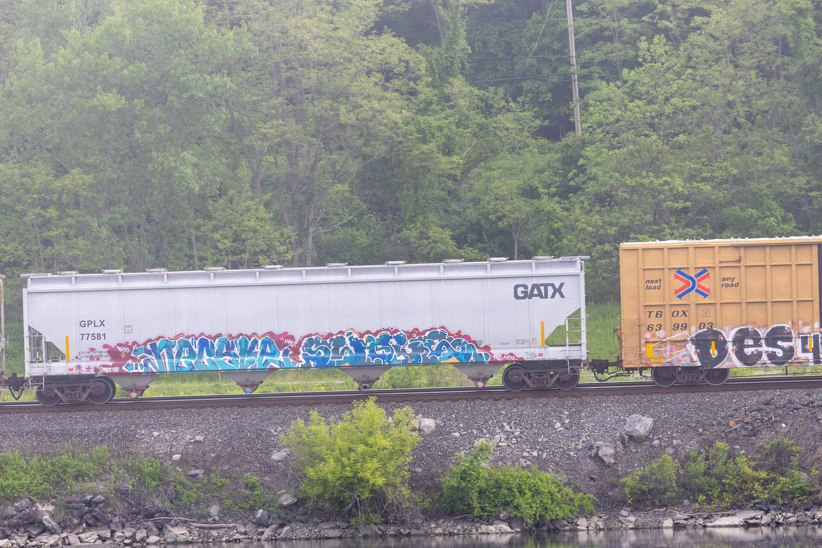 GPLX 77581