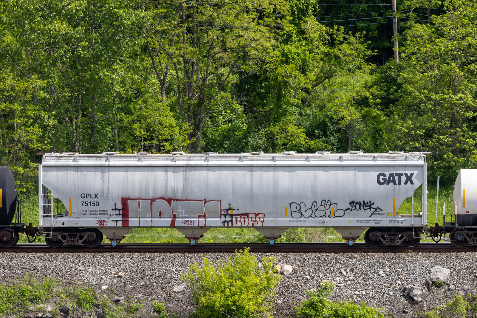 GPLX 75159