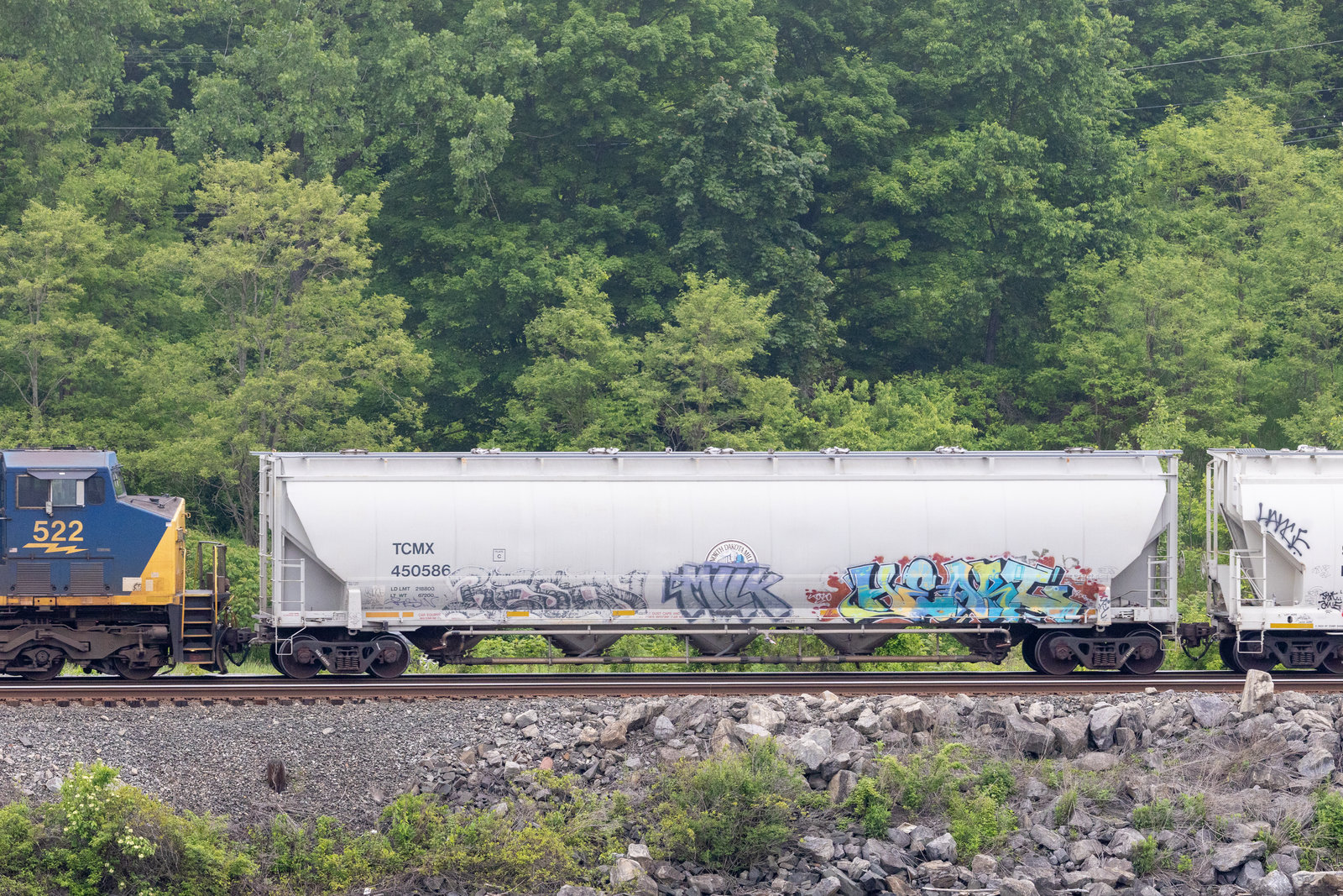 TCMX 450586