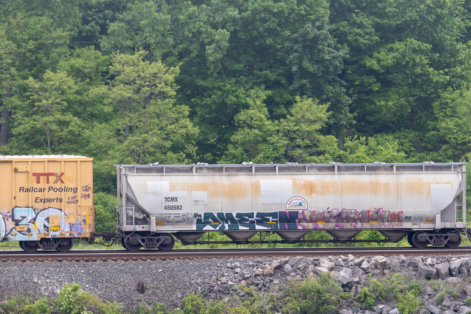 TCMX 450582