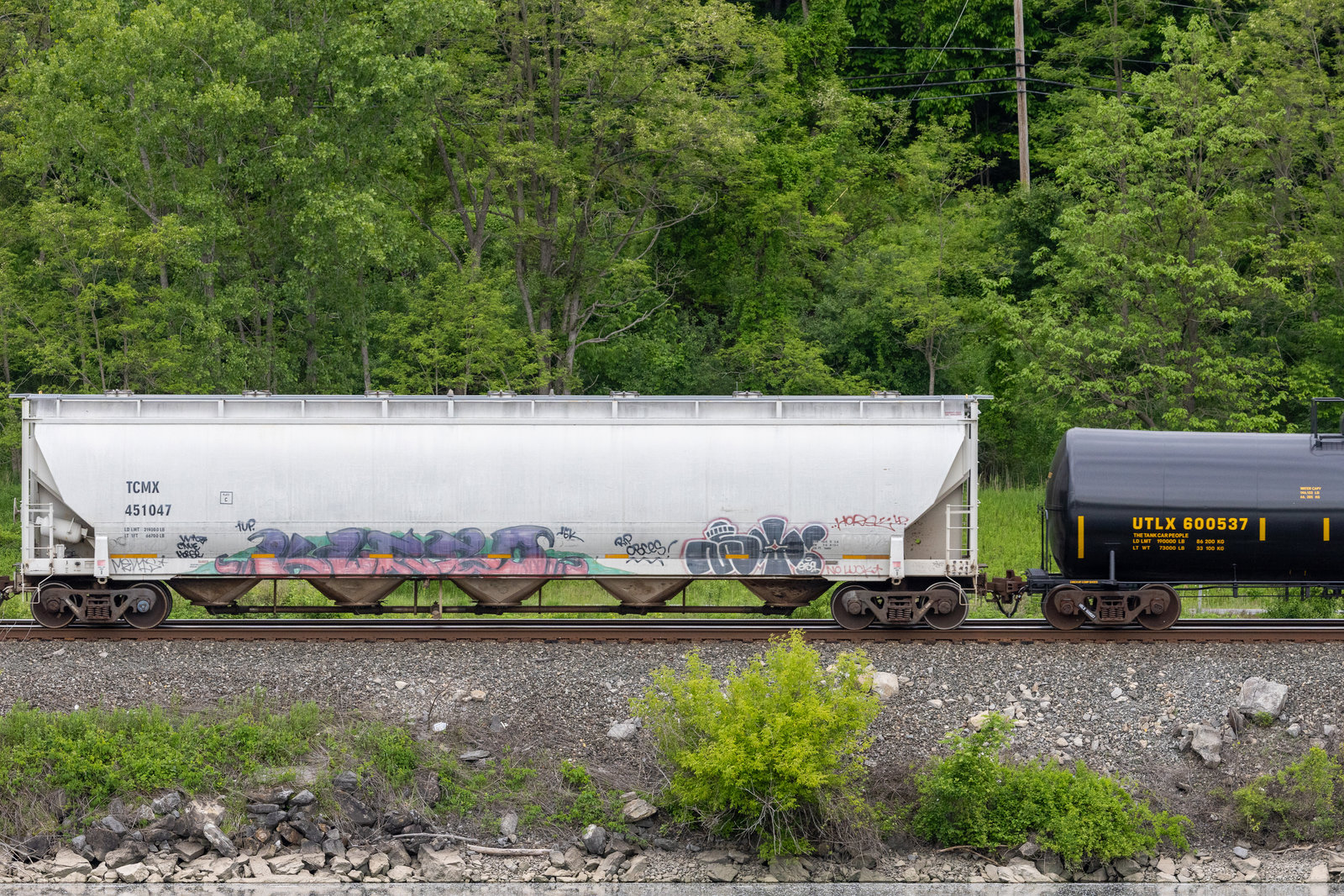 TCMX 451047