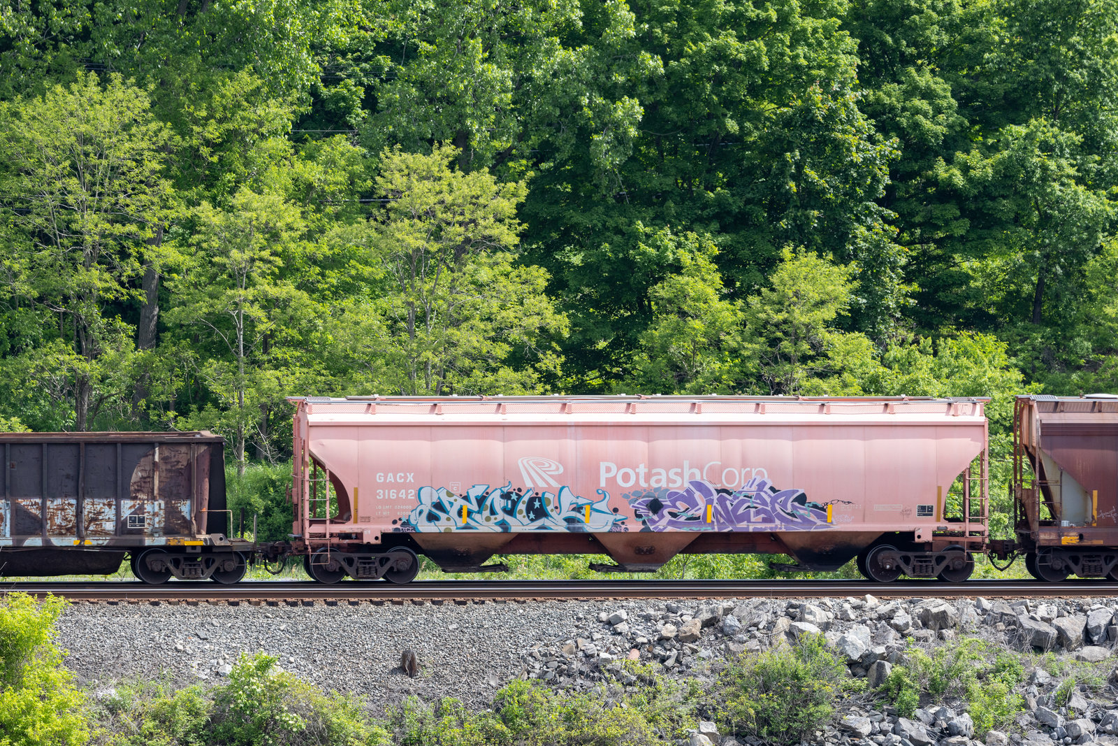 GACX 31642