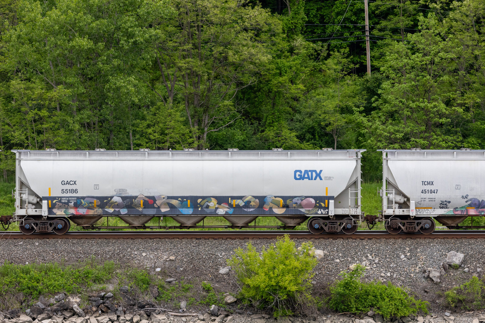 GACX 55186
