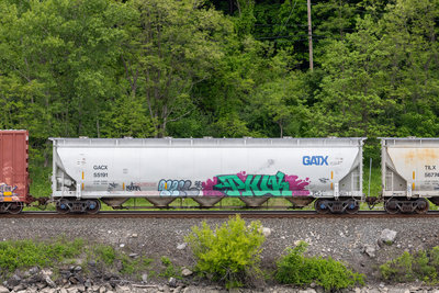 GACX 55191