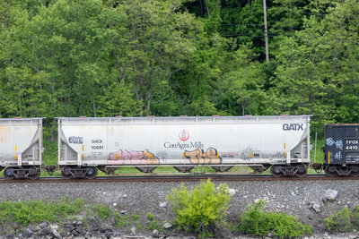 GACX 10891