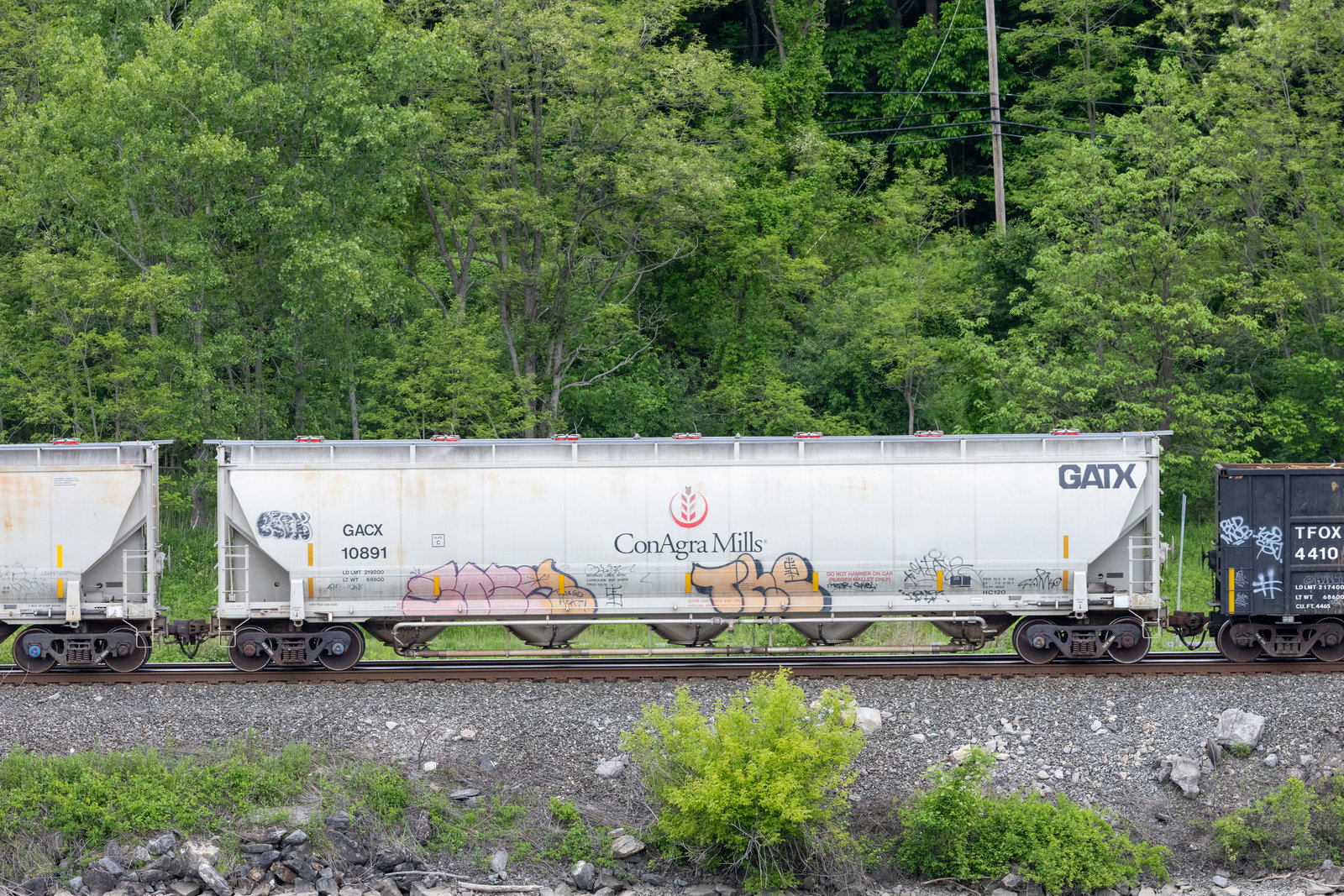 GACX 10891