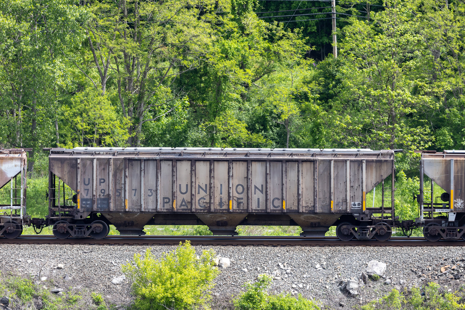 UP 79573