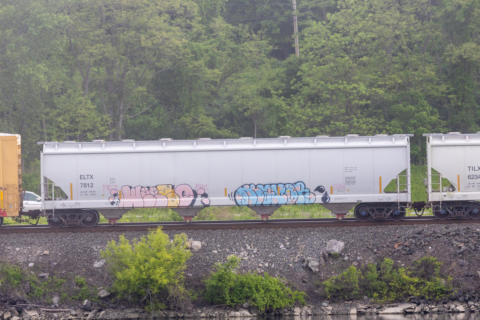 ELTX 7812