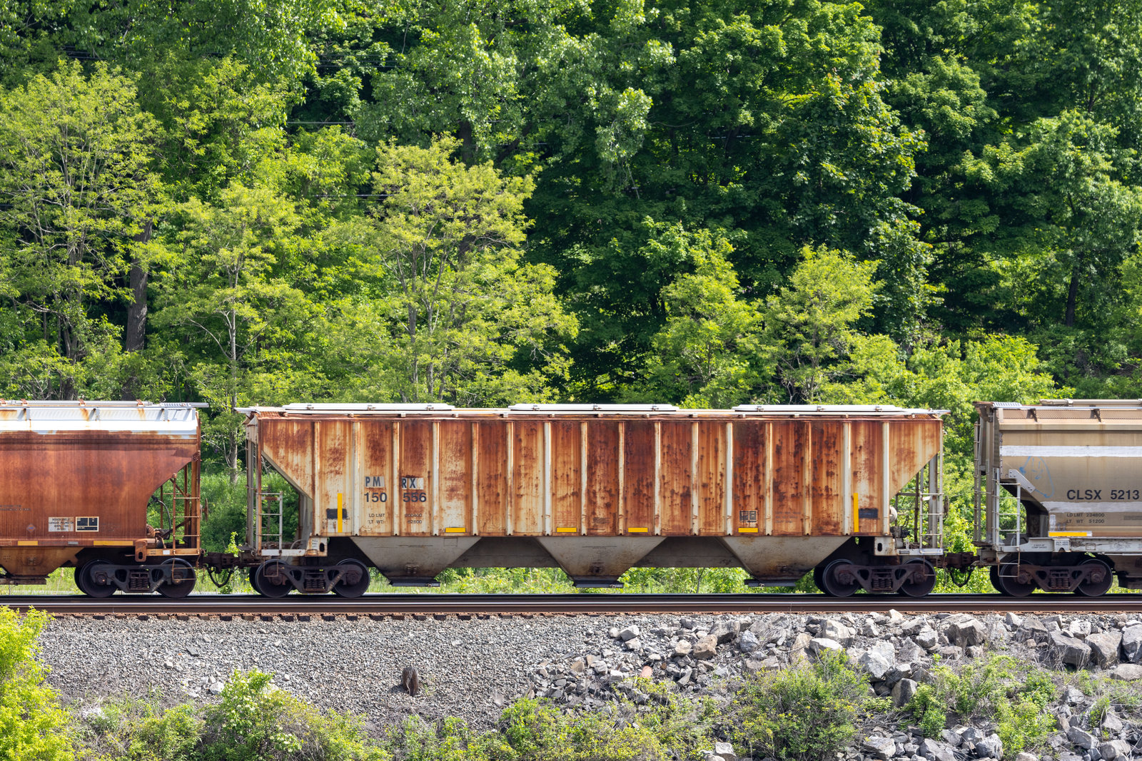 PMRX 150556