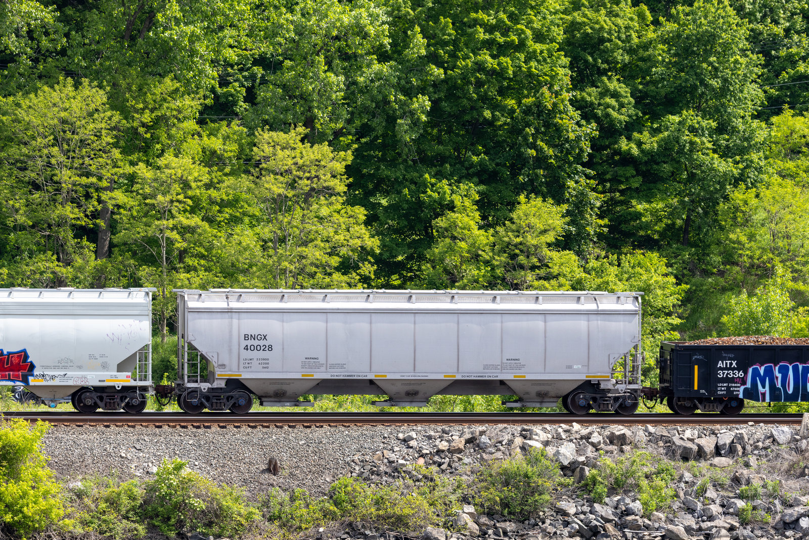 BNGX 40028