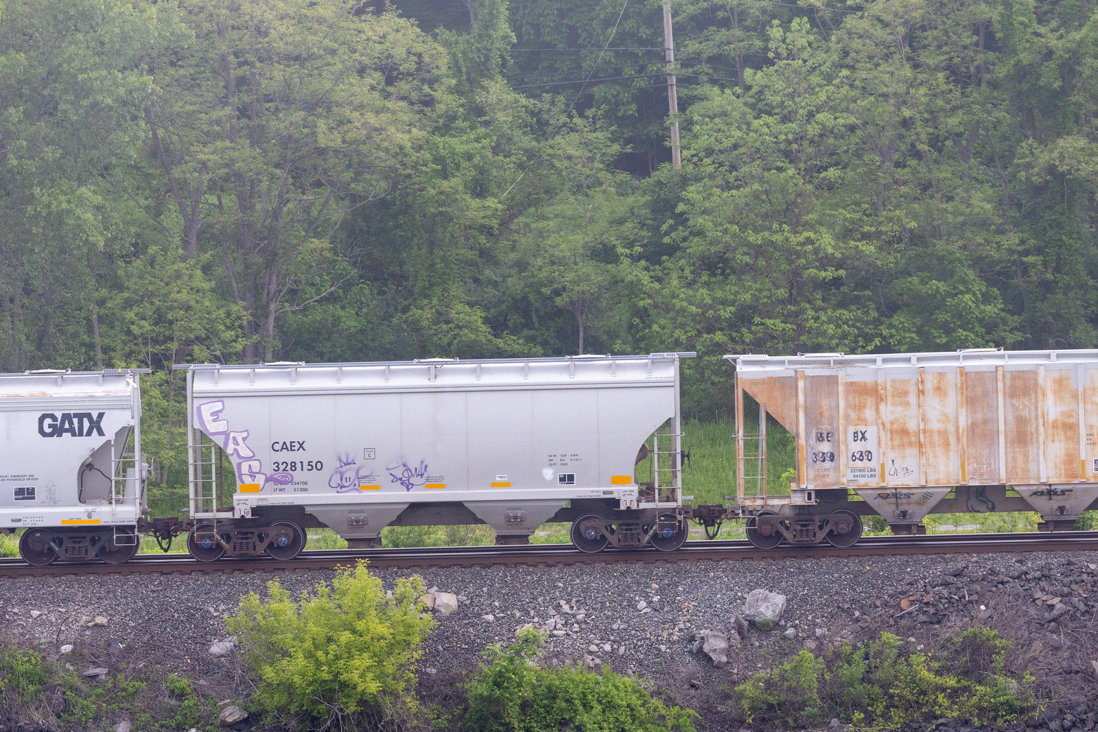 CAEX 328150