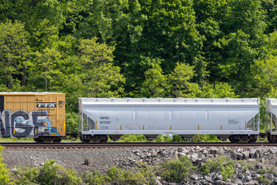 WFRX 877237
