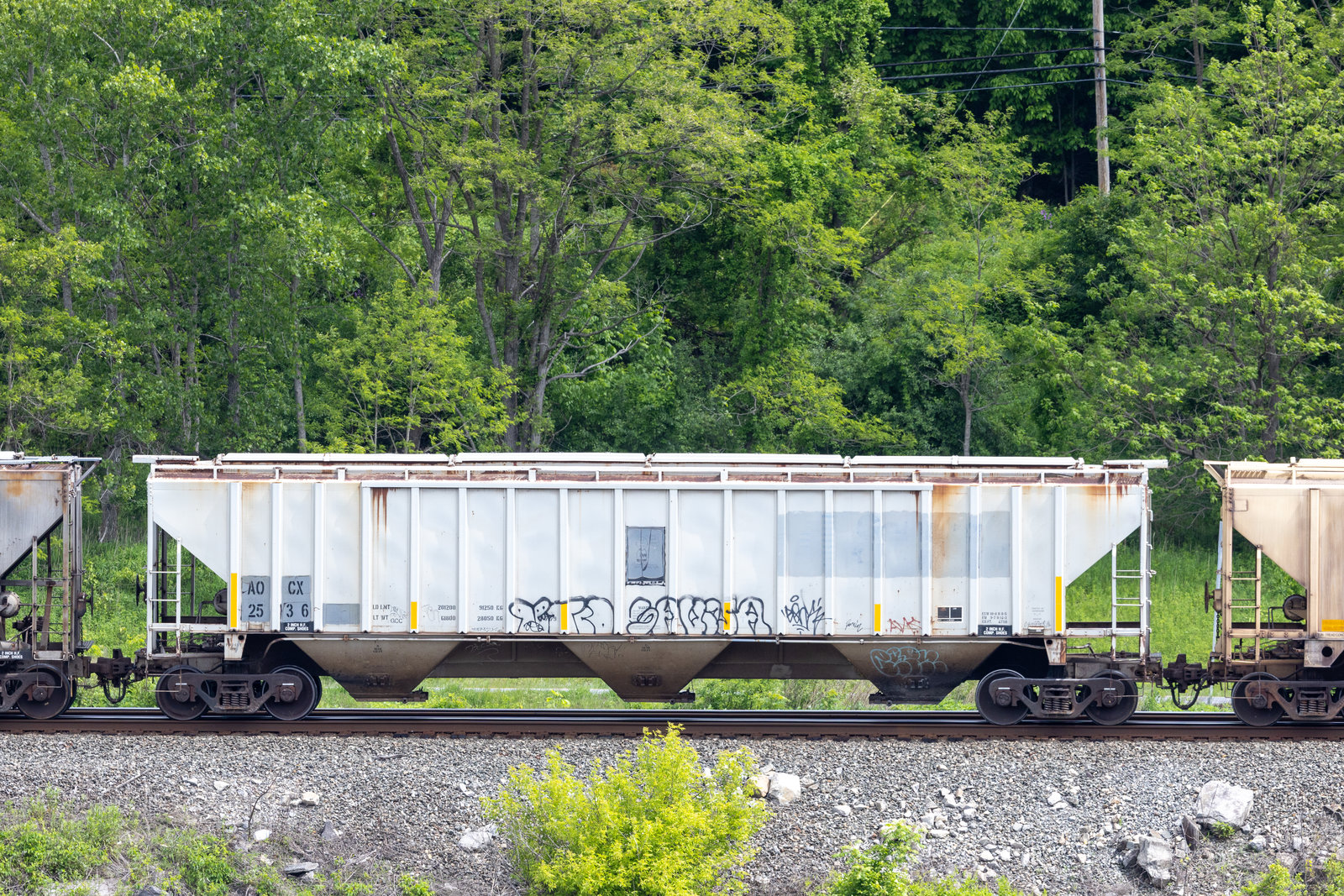 AOCX 2536