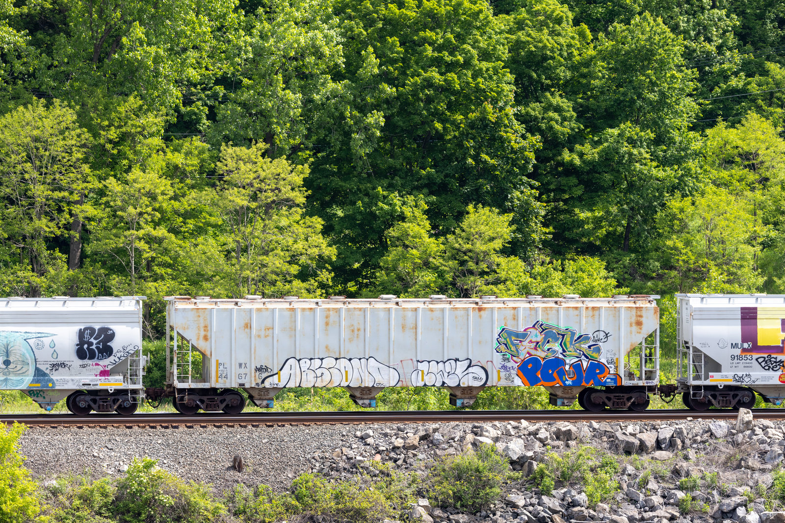 PLWX 44676