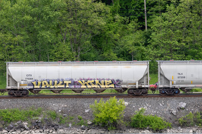 CITX 775304