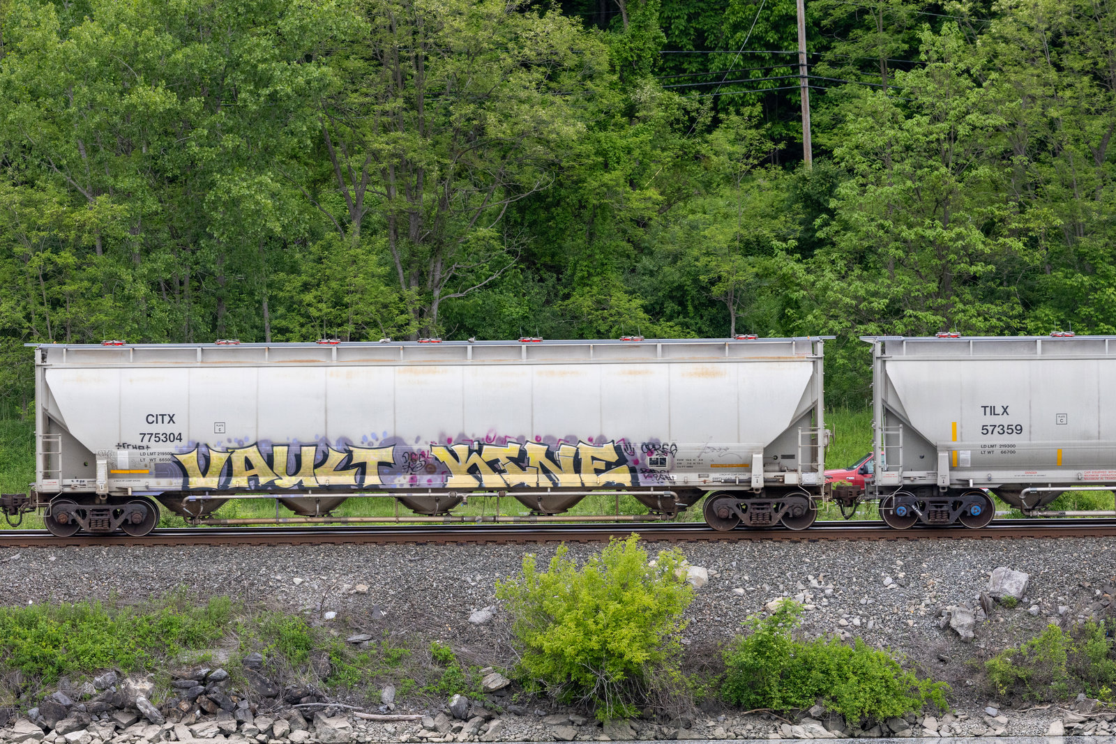 CITX 775304