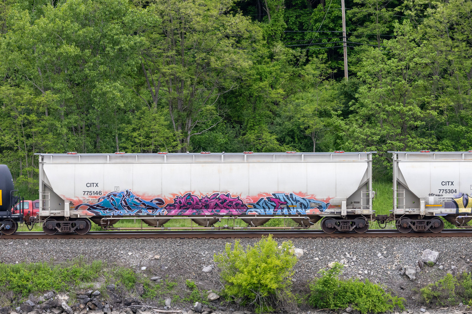 CITX 775146