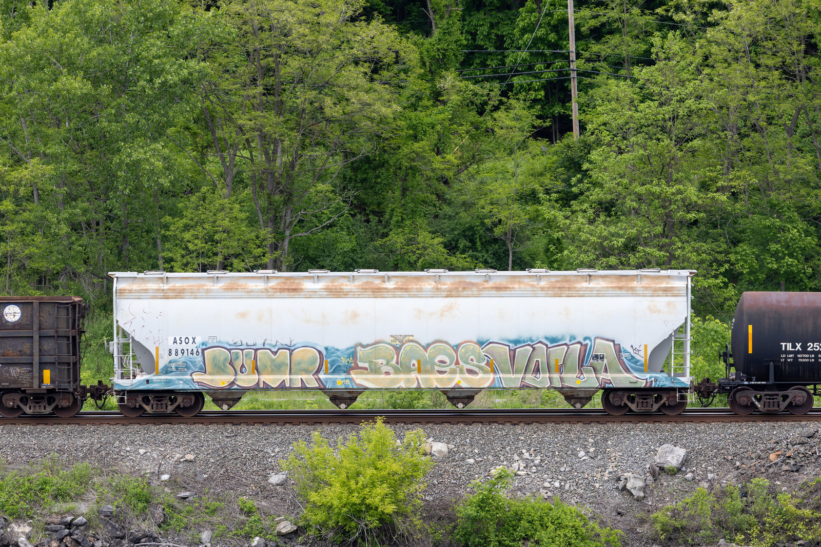 ASOX 889146