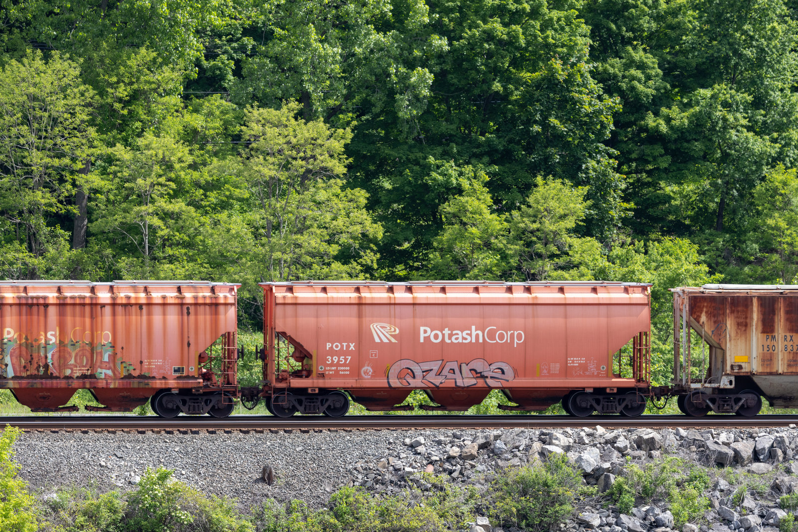 POTX 3957
