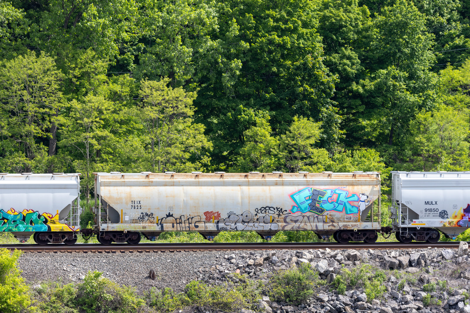TEIX 7825