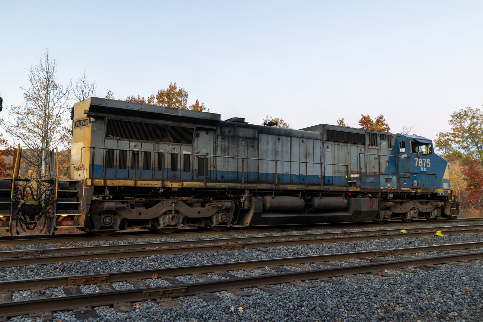 BERX 7875