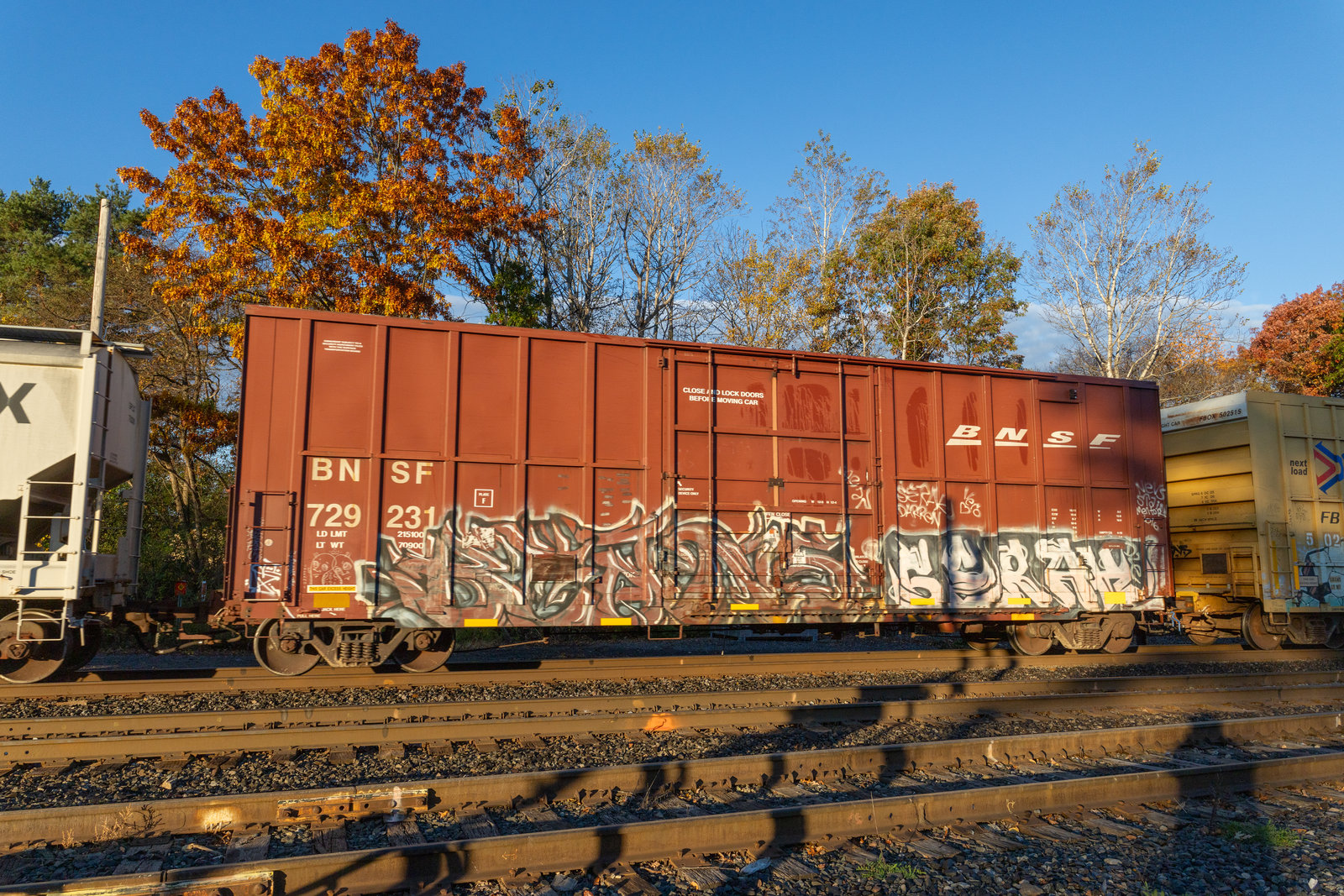 BNSF 729231