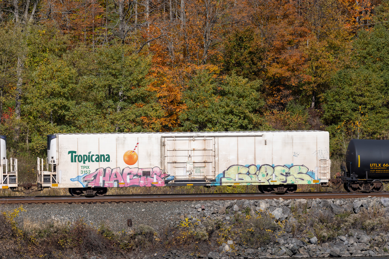 TPIX 3152