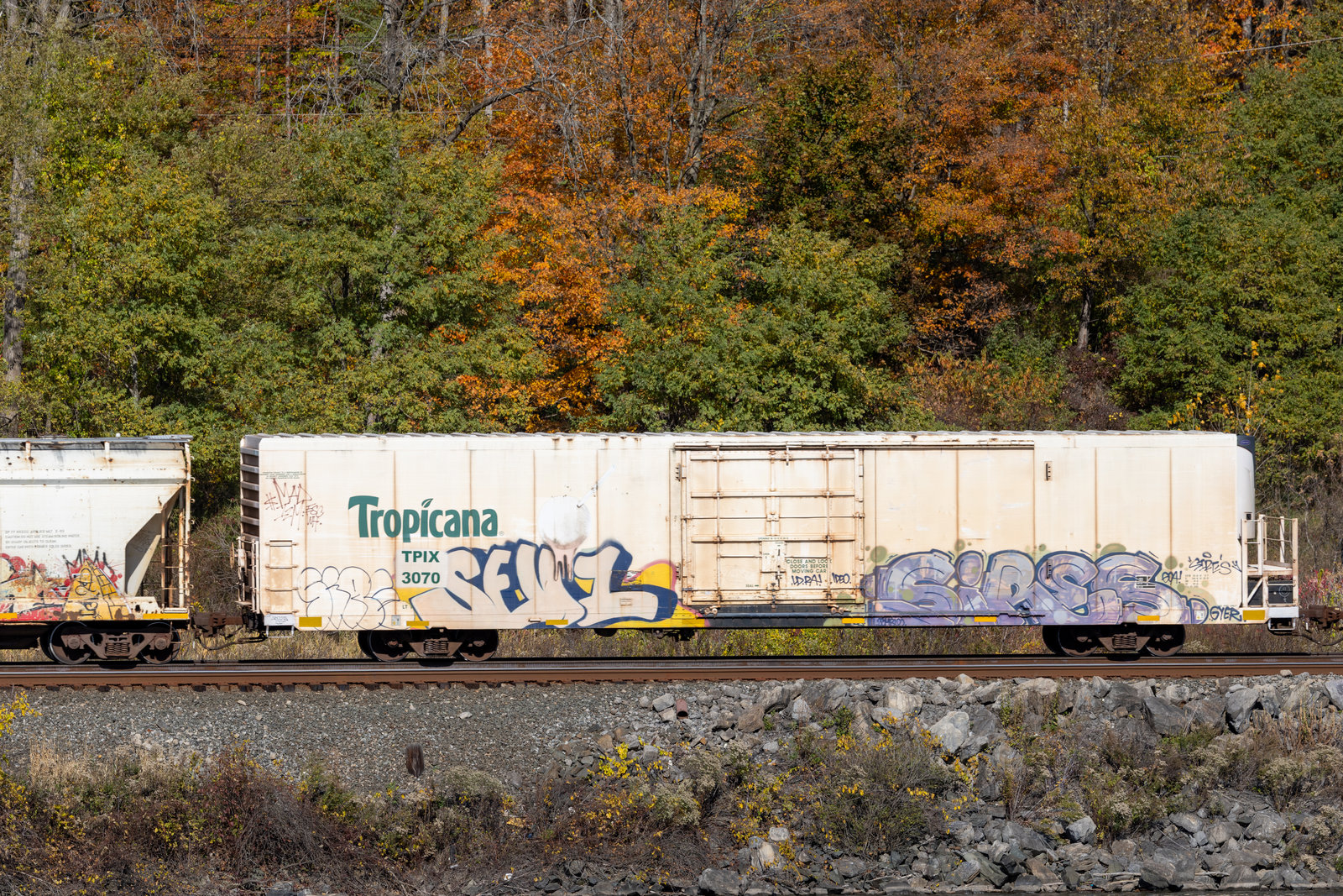 TPIX 3070