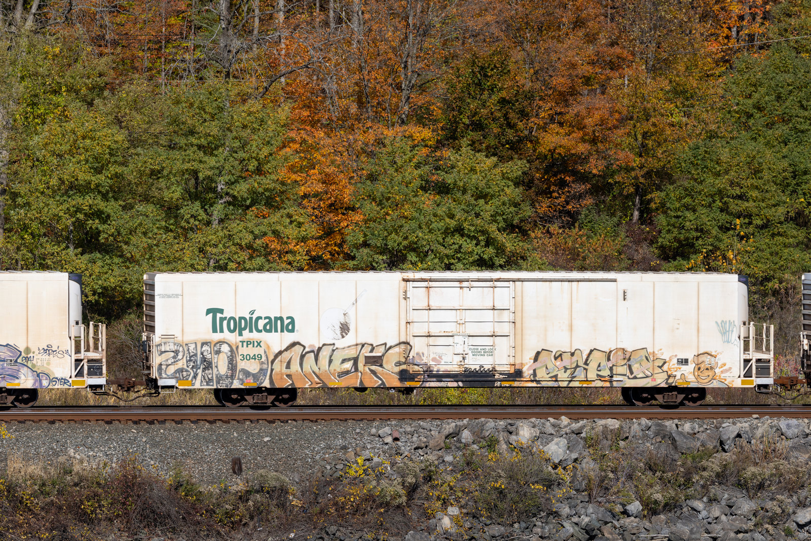 TPIX 3049