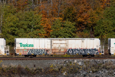 TPIX 3206
