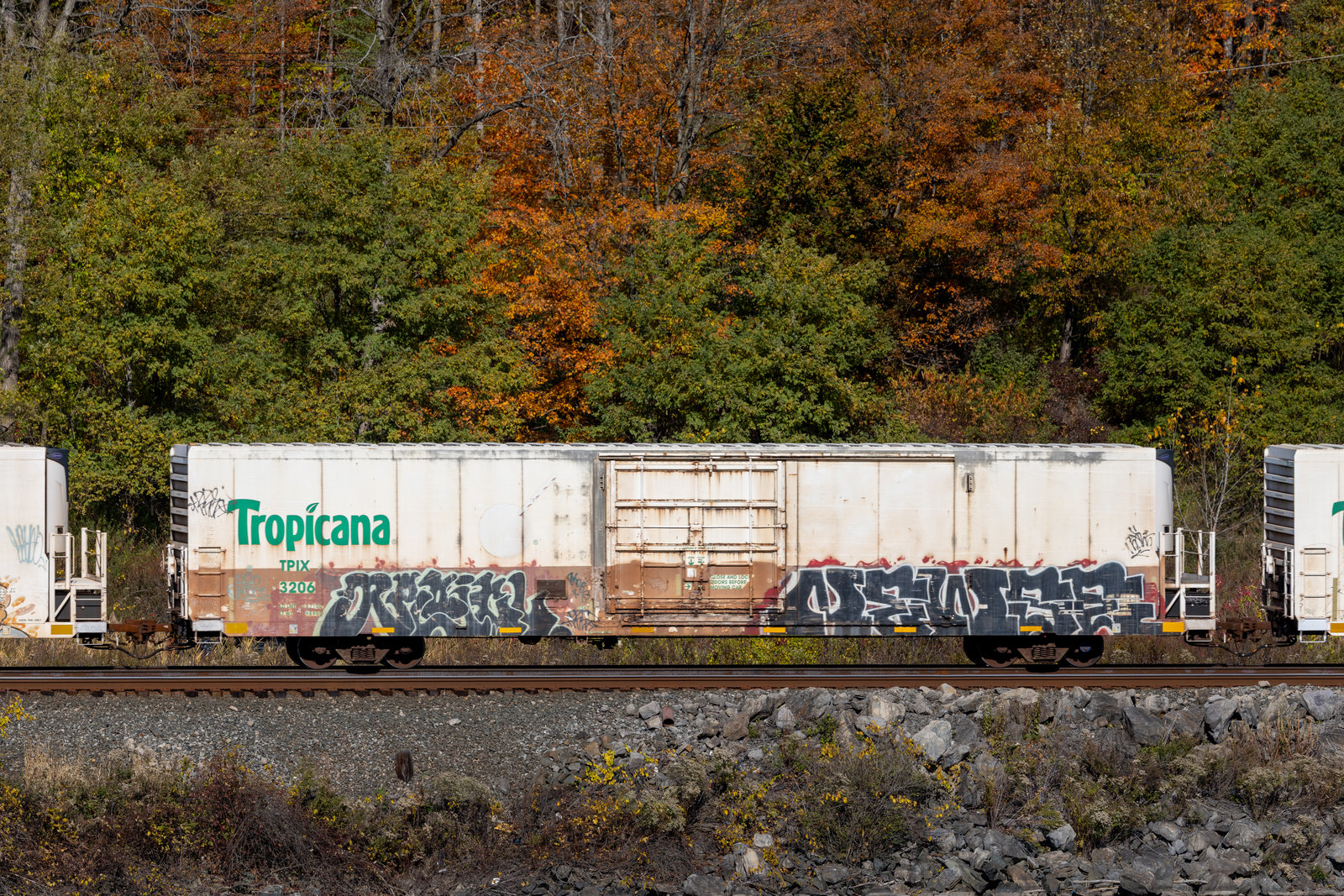 TPIX 3206